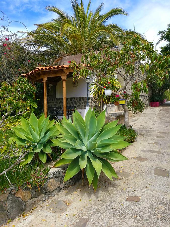 Finca El Castillo Buenavista Del Norte Exterior foto